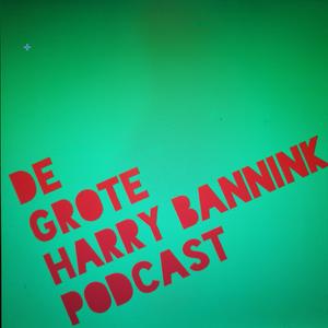 Höre De Grote Harry Bannink Podcast in der App.