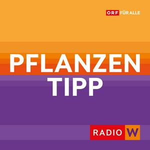 Höre Radio Wien Pflanzentipp in der App.