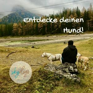 Höre Entdecke deinen Hund in der App.