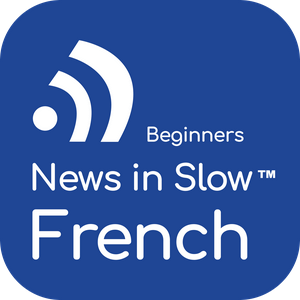 Höre French for Beginners in der App.