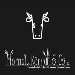 Höre Hörndl, Körndl & Co in der App.