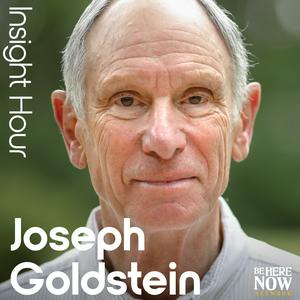 Höre Insight Hour with Joseph Goldstein in der App.