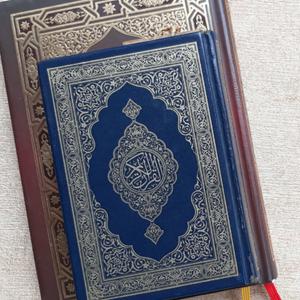 Höre Quran in Audio (Multilingual) in der App.