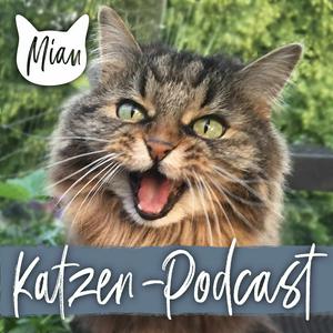 Höre Miau Katzen-Podcast - das Original seit 2017 in der App.