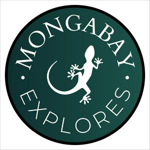 Höre Mongabay Explores in der App.