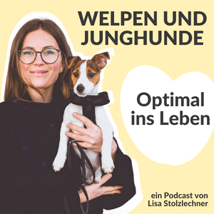 Höre Optimal ins Leben! Welpen und Junghunde in der App.