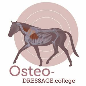 Höre OsteoDressage - Reiten, wie es Pferde lieben in der App.