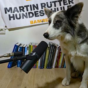 Höre Pawcast - Der Podcast der Martin Rütter Hundeschule Bamberg in der App.