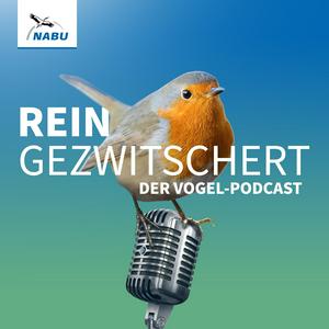 Höre REINGEZWITSCHERT – der Vogel-Podcast in der App.