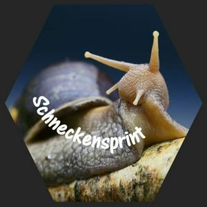 Höre Schneckensprint - Der Achatschnecken-Podcast in der App.