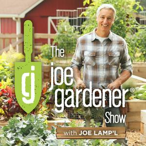 Höre The joe gardener Show - Organic Gardening - Vegetable Gardening - Expert Garden Advice From Joe Lamp'l in der App.