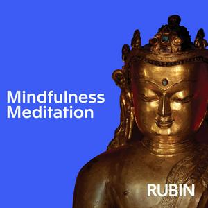 Höre Mindfulness Meditation Podcast in der App.