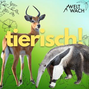 Höre Tierisch! – Entdeckungsreise in die wilde Welt der Tiere in der App.