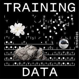 Höre Training Data in der App.