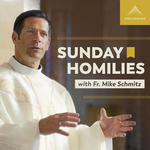 Höre Sunday Homilies with Fr. Mike Schmitz in der App.