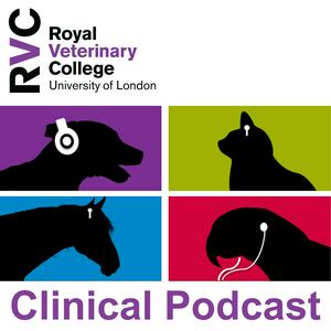 Höre Veterinary Clinical Podcasts in der App.