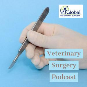 Höre Veterinary Surgery Podcast in der App.