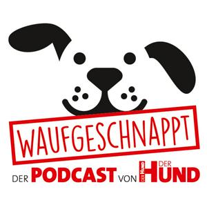 Höre Waufgeschnappt - der Podcast von DER HUND in der App.