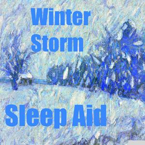 Höre Winter Storm Sleep Aid in der App.